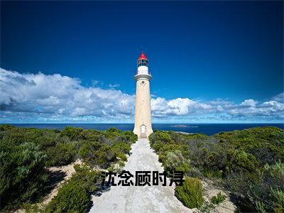 沈念顾时浔（顾时浔沈念）全文免费阅读无弹窗大结局_（沈念顾时浔）顾时浔沈念最新章节列表_笔趣阁