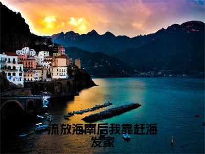 流放海南后我靠赶海发家（殷怀夕江绾）全文小说-殷怀夕江绾小说最新章节免费阅读