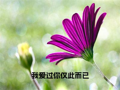 霍庭之许烟（我爱过你仅此而已）全文阅读完整版_我爱过你仅此而已小说免费阅读大结局（霍庭之许烟）