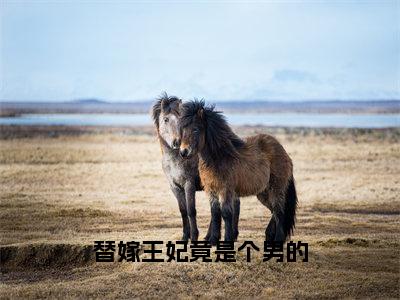 宁安（替嫁王妃竟是个男的）全文免费阅读大结局_替嫁王妃竟是个男的无弹窗最新章节列表