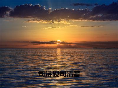 司清音司浔砚（司浔砚司清音）全文免费阅读无弹窗-司浔砚司清音主角叫司清音司浔砚的小说全章节免费阅读