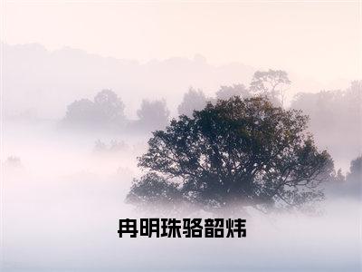 冉明珠骆韶炜新书热荐免费小说骆韶炜冉明珠全文完整版-骆韶炜冉明珠小说全文无删减版免费阅读