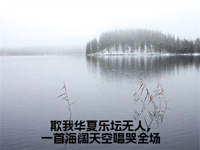 欺我华夏乐坛无人，一首海阔天空唱哭全场（江北小说）全文免费阅读无弹窗大结局_欺我华夏乐坛无人，一首海阔天空唱哭全场全文免费阅读_笔趣阁（江北）