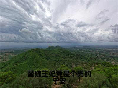 替嫁王妃竟是个男的宁安（宁安）完整版全文在线赏析-替嫁王妃竟是个男的宁安精彩美文摘抄