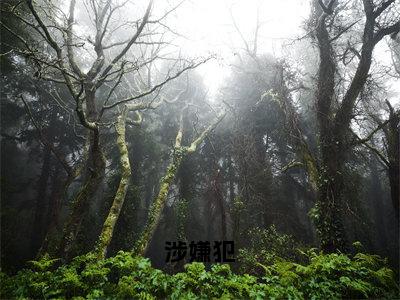 涉嫌犯（余保国）完整版全文在线赏析-涉嫌犯精彩美文摘抄