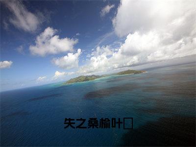 失之桑榆叶璟（苏禾叶璟）全文免费阅读无弹窗-苏禾叶璟小说完整版在线阅读