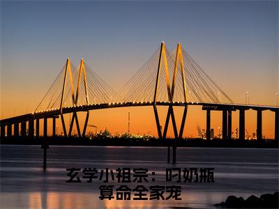 玄学小祖宗：叼奶瓶算命全家宠免费阅读无弹窗，小说沈知音大结局全文免费阅读