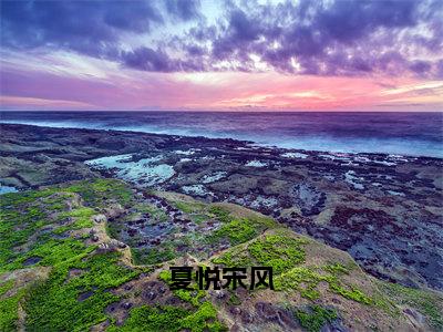 宋风夏悦（夏悦宋风）全文免费阅读无弹窗大结局_宋风夏悦最新章节列表_笔趣阁