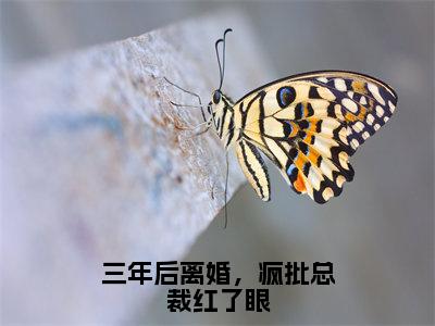 （三年后离婚，疯批总裁红了眼）霍冥苏落璃全集小说完整版大结局_三年后离婚，疯批总裁红了眼全文免费无弹窗最新章节列表_笔趣阁