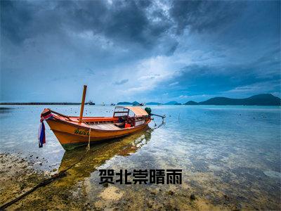 贺北崇晴雨（晴雨贺北崇）全文免费阅读无弹窗大结局_（晴雨贺北崇无弹窗）_笔趣阁