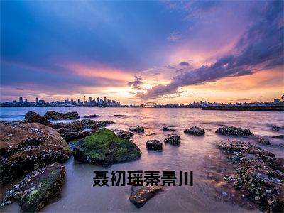 聂初瑶秦景川免费阅读无弹窗大结局-聂初瑶秦景川（聂初瑶秦景川最新全章节大结局）全文阅读