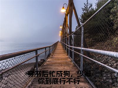 穿书后忙成狗，少卿你到底行不行（沈清浅第五寻）全文免费阅读无弹窗大结局_（沈清浅第五寻）全文阅读_笔趣阁（穿书后忙成狗，少卿你到底行不行）