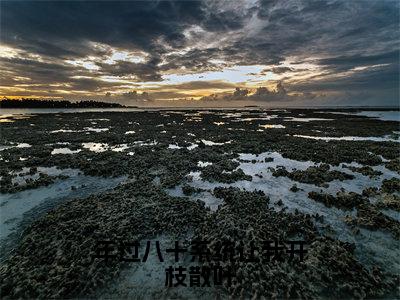 年过八十系统让我开枝散叶（萧凡生）全文免费阅读无弹窗_年过八十系统让我开枝散叶小说免费阅读_笔趣阁