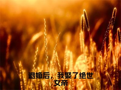 陈安林免费小说-退婚后，我娶了绝世女帝小说完整版阅读