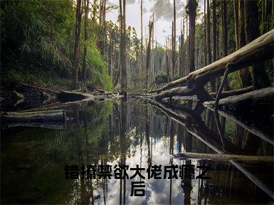 （迟暮玖渡珩厌）热门美文阅读_热门小说错撩禁欲大佬成瘾之后主人公是（迟暮玖渡珩厌）最新章节限时观看_笔趣阁