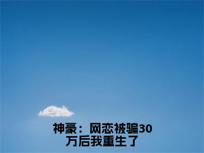 神豪：网恋被骗30万后我重生了免费阅读-（神豪：网恋被骗30万后我重生了）全文免费阅读无弹窗大结局（付莺）最新章节列表_笔趣阁