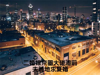 二婚嫁京圈大佬渣前夫跪地求复婚（顾澄陆云麒）全文免费阅读无弹窗_二婚嫁京圈大佬渣前夫跪地求复婚（顾澄陆云麒小说完整版）最新章节列表