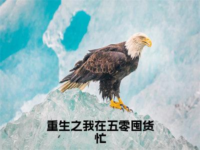 （重生之我在五零囤货忙）小说全文免费阅读无弹窗大结局_叶怀安顾雪梅重生之我在五零囤货忙最新章节列表笔趣阁