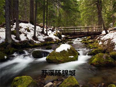 好书推荐小说苏溪陈锦城（陈锦城苏溪）-苏溪陈锦城全文免费阅读大结局