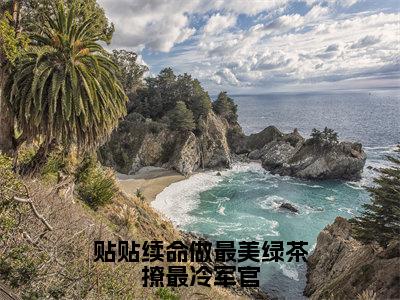 贴贴续命做最美绿茶撩最冷军官（江雨眠霍峥）免费全文阅读小说_贴贴续命做最美绿茶撩最冷军官免费在线阅读（江雨眠霍峥）小说最新章节列表