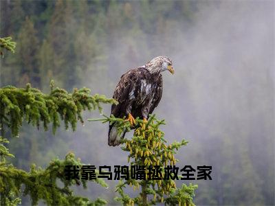 我靠乌鸦嘴拯救全家小说（林西西）全文免费阅读_我靠乌鸦嘴拯救全家小说林西西小说最新章节列表笔趣阁