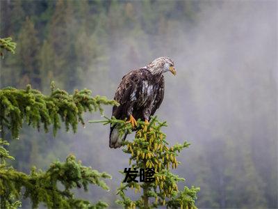 发嗲全文免费阅读无弹窗大结局_（宋执白庭月免费阅读）发嗲最新章节列表_笔趣阁