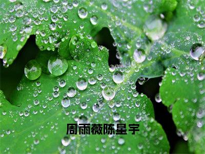 陈星宇周雨薇（周雨薇陈星宇）全文免费阅读大结局_周雨薇陈星宇无弹窗最新章节列表