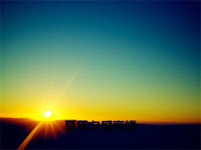 夏年夕盛京燃免费小说（夏年夕盛京燃）全文无弹窗阅读夏年夕盛京燃大结局免费阅读无弹窗