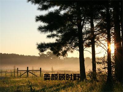 姜颜顾时野小说免费阅读无弹窗-姜颜顾时野（姜颜顾时野）小说免费阅读无弹窗大结局