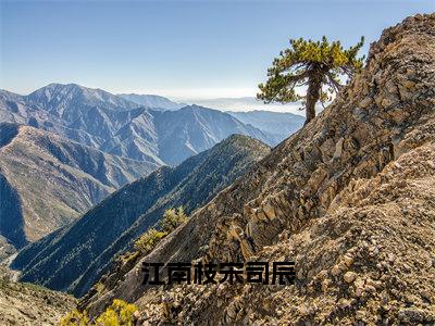 江南枝宋司辰小说免费下载阅读_（江南枝宋司辰）江南枝宋司辰最新章节列表_笔趣阁（江南枝宋司辰）