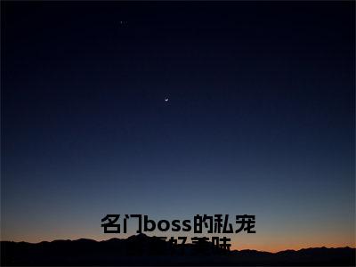 小说名门boss的私宠鲜妻好美味免费阅读-（邹峰悦陶茵）全文无弹窗阅读