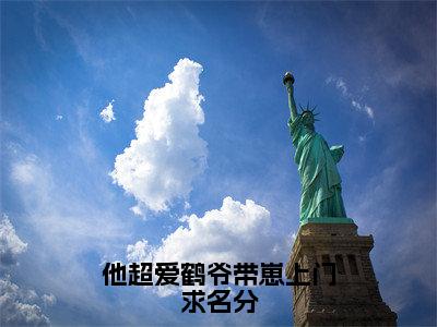 他超爱鹤爷带崽上门求名分（温珩苏墨菀）全文免费阅读无弹窗-（他超爱鹤爷带崽上门求名分）温珩苏墨菀小说全文在线赏析