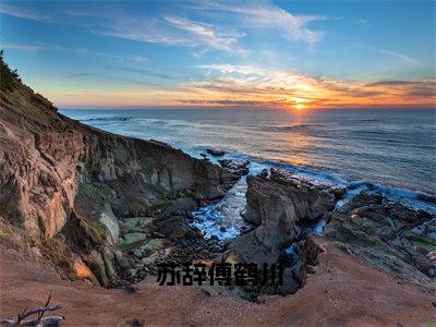 苏辞傅鹤川（苏辞傅鹤川）小说全文小说免费阅读_苏辞傅鹤川最新章节列表笔趣阁（苏辞傅鹤川）