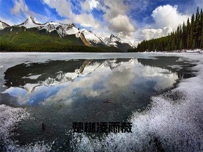 凌雨薇楚樾是什么小说-小说楚樾凌雨薇全文阅读