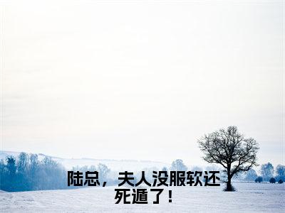 陆总，夫人没服软还死遁了！小说_陆铮沈沐漓全文阅读陆总，夫人没服软还死遁了！小说免费阅读笔趣阁