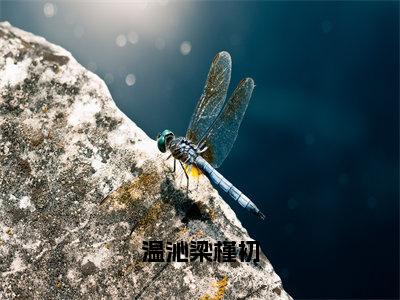 梁槿初温沁抖音新书热荐-温沁梁槿初全文在线赏析（梁槿初温沁）