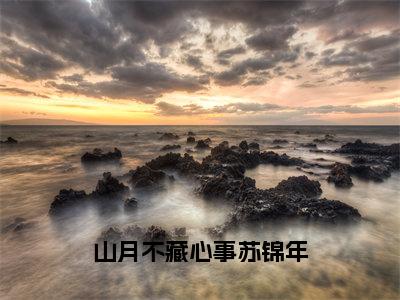 番外+免费小说《山月不藏心事苏锦年》全文免费阅读无弹窗-苏锦年小说全文在线赏析_笔趣阁