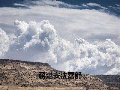 沈嘉舒蒋湛安（蒋湛安沈嘉舒）今日爆款小说-（沈嘉舒蒋湛安）蒋湛安沈嘉舒完结大结局免费阅读