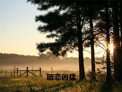 陆延费林林（暗恋凶猛）免费全文阅读小说_（陆延费林林）暗恋凶猛最新章节列表