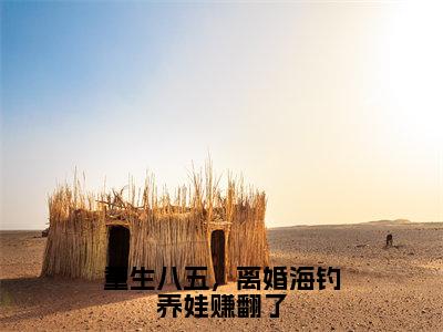 重生八五，离婚海钓养娃赚翻了（韩小蕊叶峰）全文小说-重生八五，离婚海钓养娃赚翻了小说最新章节免费阅读