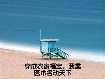 穿成农家福宝，我靠医术名动天下最新热门小说-（王稔张知）最新章节免费阅读