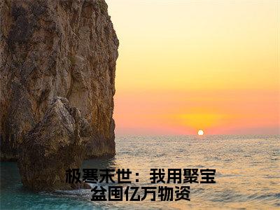 极寒末世：我用聚宝盆囤亿万物资（林时）全文免费阅读无弹窗大结局_极寒末世：我用聚宝盆囤亿万物资最新章节列表_笔趣阁（林时）