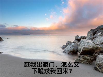 陆青云全文阅读-赶我出家门，怎么又下跪求我回来？小说免费阅读-笔趣阁