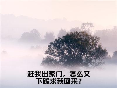 赶我出家门，怎么又下跪求我回来？（陆青云）全文免费阅读无弹窗大结局_赶我出家门，怎么又下跪求我回来？热门小说最新章节阅读