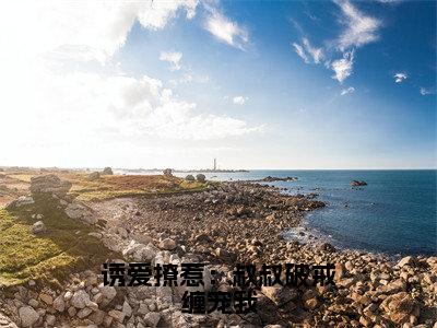 诱爱撩惹：叔叔破戒缠宠我（沈七七阮皓晟）全文免费阅读-（沈七七阮皓晟小说）诱爱撩惹：叔叔破戒缠宠我最新章节列表