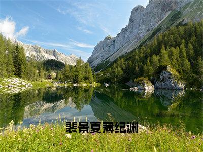 小说裴景夏薄纪渊（裴景夏薄纪渊小说免费阅读）完结阅读，裴景夏薄纪渊在线阅读