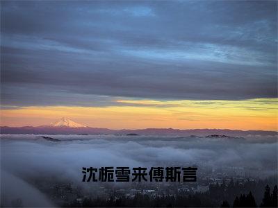 沈栀雪来傅斯言（傅斯言沈栀雪来）小说全文免费阅读无弹窗-沈栀雪来傅斯言全章节在线阅读