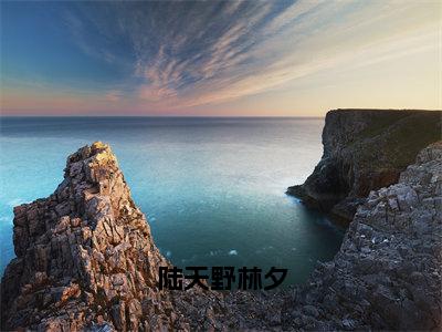 陆天野林夕最新热门榜单小说-林夕陆天野全文无弹窗免费阅读大结局