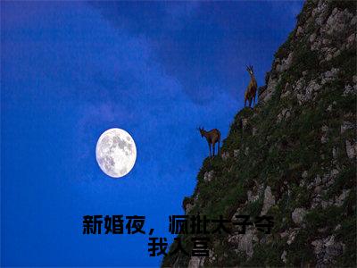 （新婚夜，疯批太子夺我入宫）姜昀姜容音全文免费阅读无弹窗完整版_姜昀姜容音小说全文免费阅读