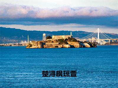 琼萱楚浔枫（楚浔枫琼萱）全文免费阅读无弹窗大结局_琼萱楚浔枫免费试读阅读全文无弹窗